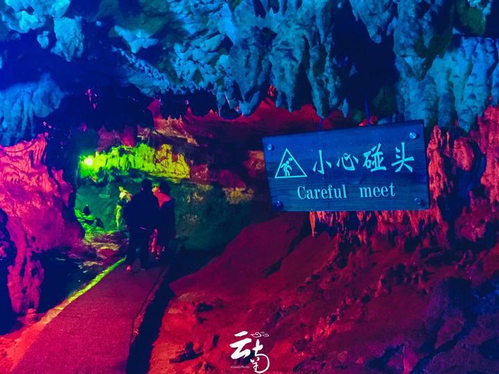 拯救精灵的土地9